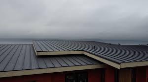 Best Green or Eco-Friendly Roofing Solutions  in Alvarado, TX